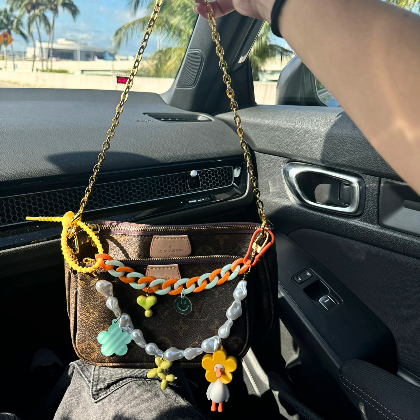 Funny Duck Accessorie